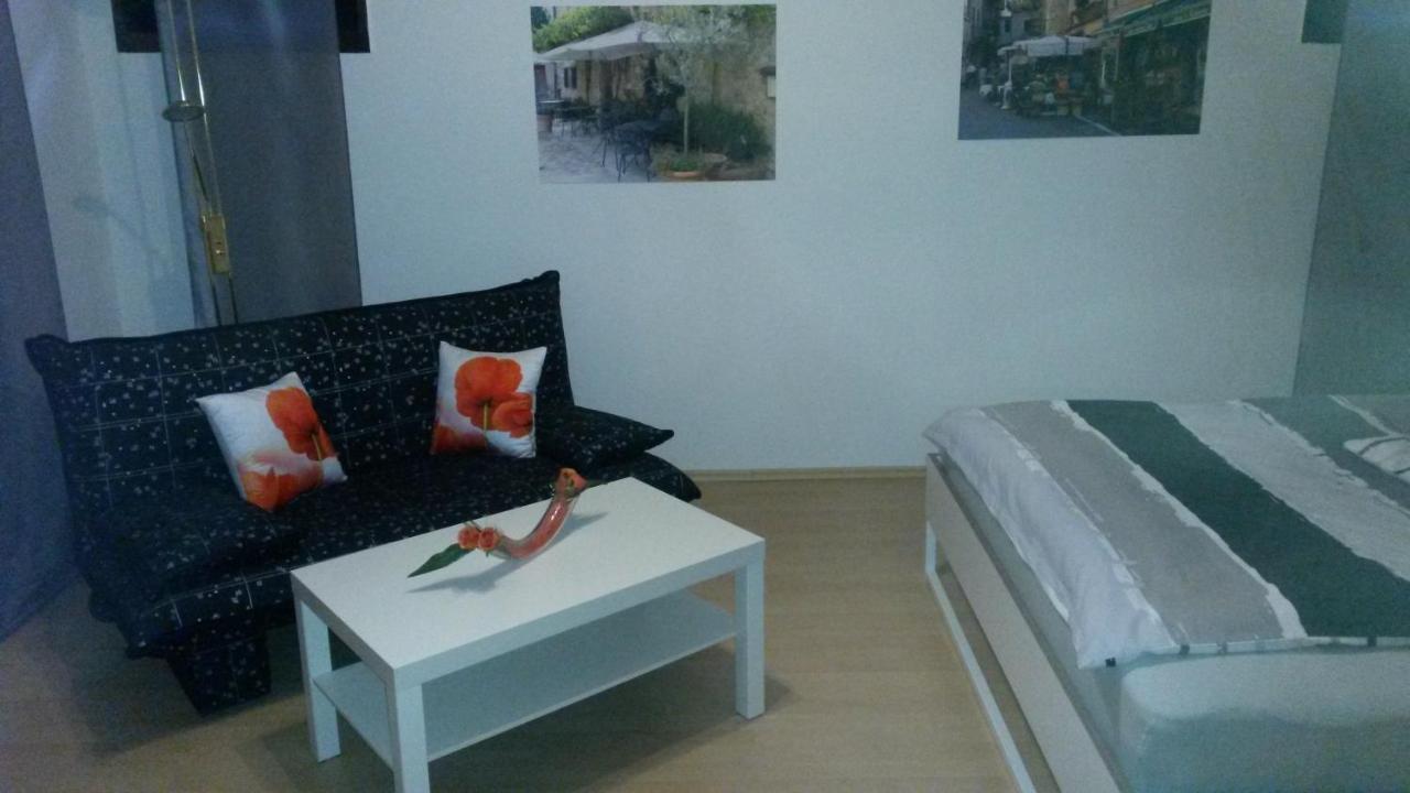 Ferienwohnung Keine Monteurvermietung Naehe Heidelberg Hockenheim Bds Anlage Филипсбург Экстерьер фото